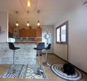 a black cat laying on a rug in a kitchen at Grand studio refait à neuf in Valdeblore