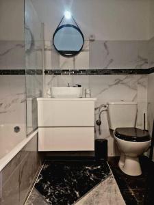 ein Badezimmer mit einem WC, einem Waschbecken und einem Spiegel in der Unterkunft Grand studio refait à neuf in Valdeblore