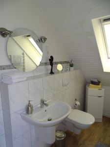 ein Badezimmer mit einem Waschbecken, einem WC und einem Spiegel in der Unterkunft Schuppe, Helga in Tarp