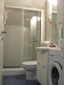 察夫塔特的住宿－Apartments Marlais，带淋浴、卫生间和洗衣机的浴室