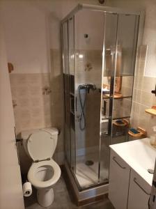 a bathroom with a shower and a toilet and a sink at 2 pièces proche cure thermale in Roquebillière
