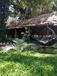 een gebouw met een rieten hut met een schommel bij Green Garden Hostel in Arusha