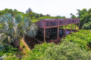 uma casa no meio de uma selva com uma palmeira em Le Bunker, design apartment em Dakar