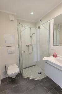 uma casa de banho com um chuveiro, um WC e um lavatório. em Villa-Borwin-Apartment-1 em Kühlungsborn