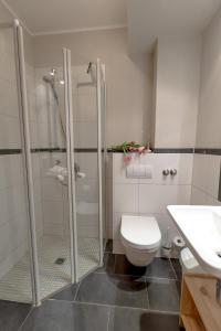 a bathroom with a shower and a toilet and a sink at Villa-Senta-Apartment-2 in Kühlungsborn