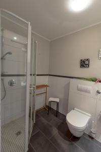 a bathroom with a toilet and a shower at Villa-Senta-Apartment-8 in Kühlungsborn +15 photos