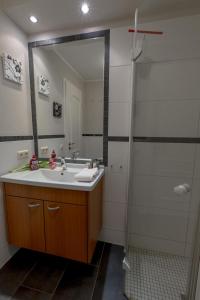 y baño con lavabo y ducha con espejo. en Villa-Senta-Apartment-11, en Kühlungsborn