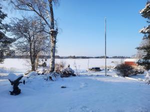 einen schneebedeckten Hof mit Bäumen und einem Feld in der Unterkunft 3 Bedroom Cottage with Sauna by the Sea in Vaasa