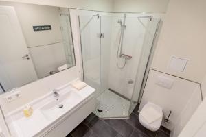 La salle de bains est pourvue d'une douche, d'un lavabo et de toilettes. dans l'établissement Villa-Borwin-Apartment-12, à Kühlungsborn
