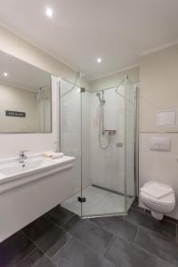 La salle de bains est pourvue d'une douche, de toilettes et d'un lavabo. dans l'établissement Villa-Borwin-Apartment-12, à Kühlungsborn
