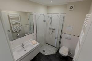 een badkamer met een douche, een wastafel en een toilet bij Villa-Borwin-Apartment-18 in Kühlungsborn