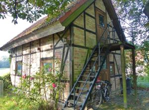 a tiny house with a ladder and a bicycle in front at Ferienhaus Christoph Seeger in Bugewitz