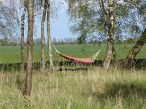 a hammock in the middle of a field with trees at Ferienhaus Christoph Seeger in Bugewitz +53 photos
