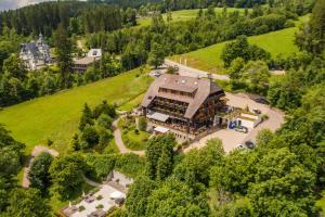 eine Luftansicht eines Gebäudes auf einem Hügel in der Unterkunft Alemannenhof - Boutique Hotel am Titisee in Titisee-Neustadt