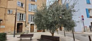 drzewo i dwie ławki przed budynkiem w obiekcie Le Rocher appartement Cotignac w mieście Cotignac