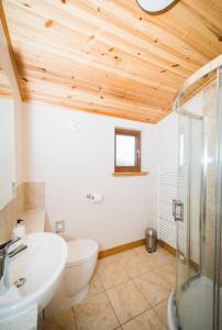 a bathroom with a toilet sink and a shower at Tawny Lodge with Hot Tub in Cupar