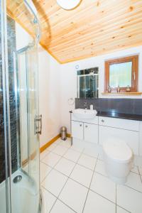 a bathroom with a shower and a toilet and a sink at Tawny Lodge with Hot Tub in Cupar