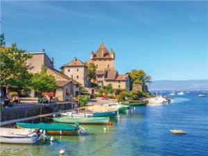 a group of boats are docked in a body of water at Wonderful La Villa du Lac - One Bedroom, 4 people in Divonne-les-Bains