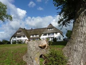 a large white house with a tree in front of it at Das Landhaus am Haff LHH B06 in Stolpe