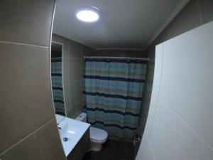 a bathroom with a sink and a toilet and a mirror at Apartment With Pool Access in Temuco