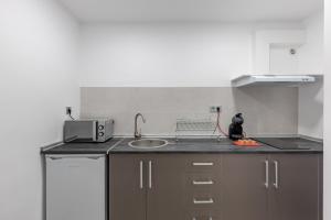 Kuchyňa alebo kuchynka v ubytovaní Apartamentos Realejo Granada Centro 3000