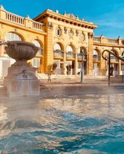 una fuente de agua frente a un edificio en DN Blue Apartment en Budapest