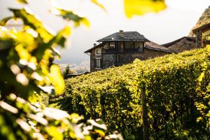 Kép VILLA DEL LUPO: Crown of The Valtellina szállásáról Tresenda városában a galériában