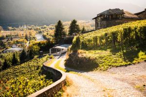 Kép VILLA DEL LUPO: Crown of The Valtellina szállásáról Tresenda városában a galériában