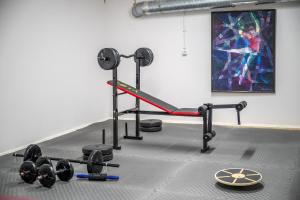 a fitness room with a gym with a dumbbell machine at Nomado Residence with gym in Istanbul