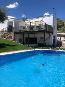 un delfín en una piscina frente a una casa en Villa Maioli, en Olivella