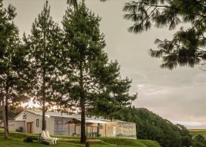 una casa con alberi di fronte a un edificio di Dargle Forest Lodge a Dargle