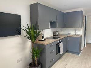 a kitchen with blue cabinets and a potted plant at Stylish 1 bedroom studio outdoor area and hot tub in Bournemouth