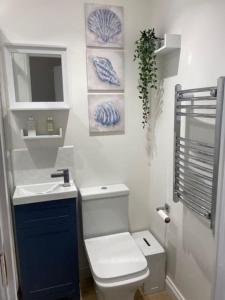 a bathroom with a white toilet and a sink at Stylish 1 bedroom studio outdoor area and hot tub in Bournemouth