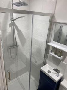 a bathroom with a shower and a sink at Stylish 1 bedroom studio outdoor area and hot tub in Bournemouth