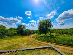 a dirt road in the middle of a field with a tree at The Venue Country Hotel & Spa in Hartbeespoort