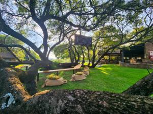 a tree with some flowers in a yard at The Venue Country Hotel & Spa in Hartbeespoort