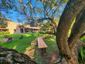 a park with a wooden bench and a tree at The Venue Country Hotel & Spa in Hartbeespoort