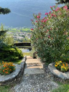 Zahrada ubytování VILLA DEL LUPO: Crown of The Valtellina