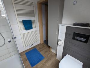 a bathroom with a shower and a toilet with a blue rug at Altmark - Haus am Hang mit Garten in Dähre