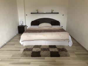 ein Schlafzimmer mit einem Bett und einem Teppich auf dem Boden in der Unterkunft MiJa apartmán s VINNÝM SKLÍPKEM, zahradou a grilem in Kájov