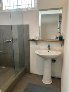 a bathroom with a sink and a shower with a mirror at Chez Jess in Cap Malheureux