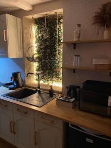 a kitchen counter with a sink and a microwave at BEAUTIFUL LIFE BED and SPA in Mirecourt