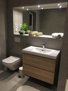 ZudarにあるFerienhaus Ankerのバスルーム(洗面台、トイレ、鏡付)