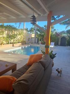 Bazén v ubytování Tropical nebo v jeho okolí