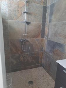 łazienka z prysznicem i ścianą wyłożoną kafelkami. w obiekcie Tropical w mieście Orient Bay French St Martin