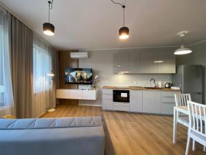Kuchyňa alebo kuchynka v ubytovaní Apartament Toruń