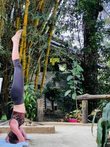 Jardin de l'établissement Moksha eco villa Ella