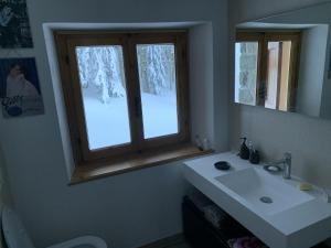 uma casa de banho com um lavatório e uma janela em Baita Le Pozze em Abetone