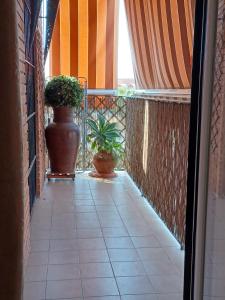 Un balcón con dos plantas en macetas y una ventana. en Casa de Nina, en Córdoba