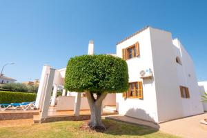 una casa bianca con un albero davanti di Casa Felix a Palma de Mallorca